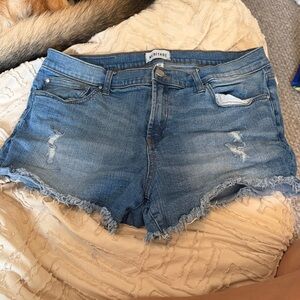 Meritage Denim Distressed Shorts